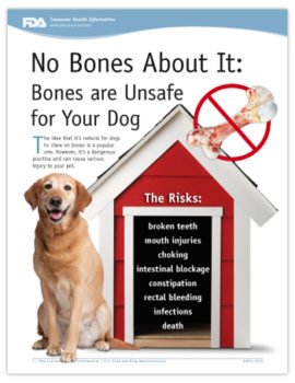 No Bones About It: Bones are Unsafe for Your Dog - Tampa, FL